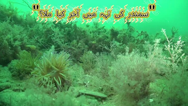 سمندر کی گہرائی میں چھپا پراسرار راز  آخر وہاں کی