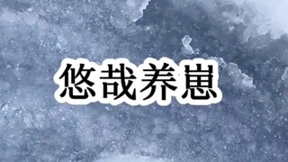 茗 悠哉养崽