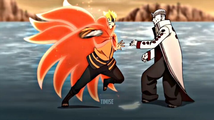 Can they box 🔥🔥🔥