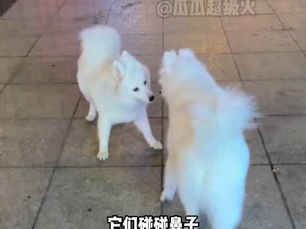 Hồi nhỏ, mỗi lần chia tay đều nghĩ rằng sẽ chẳng bao giờ gặp lại nhau nữa.