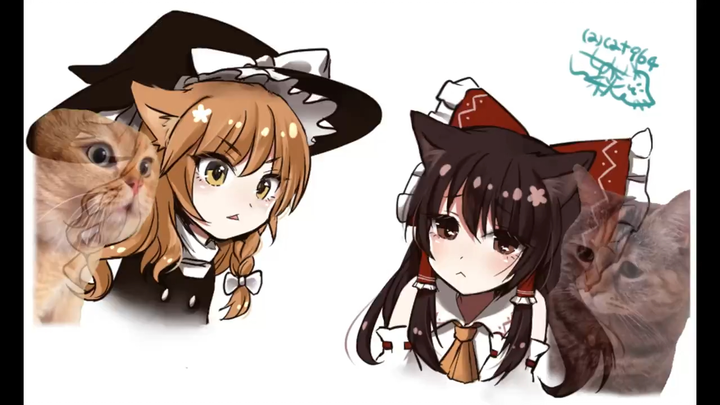 【แมวมีม/โทโฮ】มาริสะและเรย์มุแปลงเป็นแมวมีม