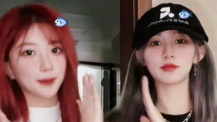 【GNZ48 Trứng Vỏ】Cùng nhảy vũ đạo ngọt ngào whatever, bị ngọt đến mức xỉu mất thôi