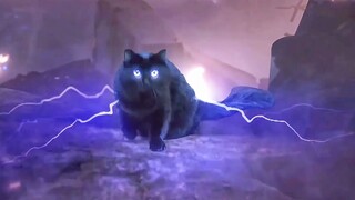 Feel the oppression brought by the black cat! Thanos will only be beaten when he sees it!
