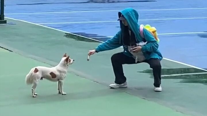 Kakak kelas, lain kali jangan terus-terusan memandangi sarapan aku, aku juga lagi lapar nih!