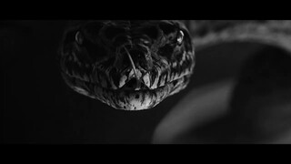 Watch Full【FILM】SNAKE  蛇女 For Free : Link In Description