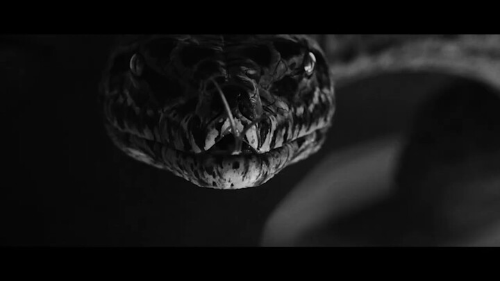 Watch Full【FILM】SNAKE  蛇女 For Free : Link In Description