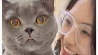 Apa aku salah ambil kucing ya? Tapi aku nggak mau tukar lagi deh, hahaha