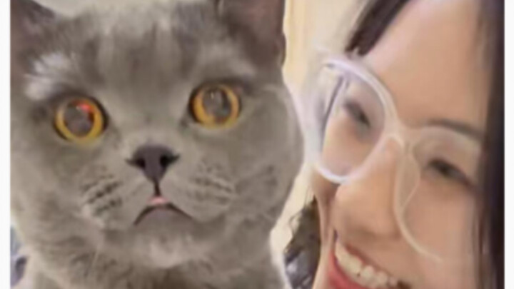 هل أخذت القط الخطأ؟ لكن لا أريد إعادته الآن، هاهاها