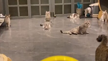 26秒没有一帧是多余的，全是戏