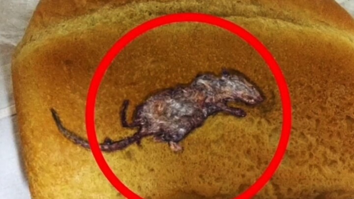 أقذر 10 أطعمة في العالم: المأكولات الصينية تدخل القائمة!