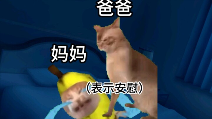 [Meme Kucing] Fakta di Balik Si Induk Kucing yang Sembunyi di Bawah Selimut dan Menangis Diam-diam T