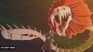 Bleach Rebirth of Souls Ichigo Vs Renji