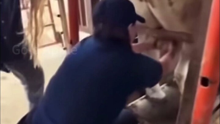 Đến nước này rồi!