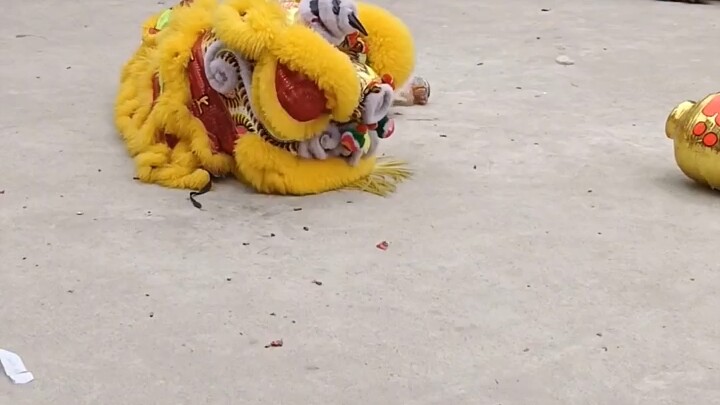 Drunk Lion Dance