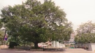 My l!ttle happiness episode 01 subtitle Indonesia