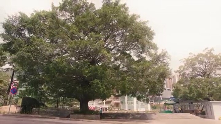 My l!ttle happiness episode 01 subtitle Indonesia