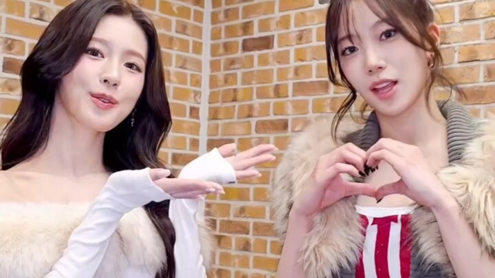 Khu vực bình luận TikTok đang sôi nổi bàn tán về ca khúc "spaghetti" của Nakamura Ichiyo và Zhao Mei