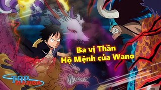 Ba vị Thần Hộ Mệnh của Wano: Tiêu diệt Kaido & Đánh đuổi Hải Quân?