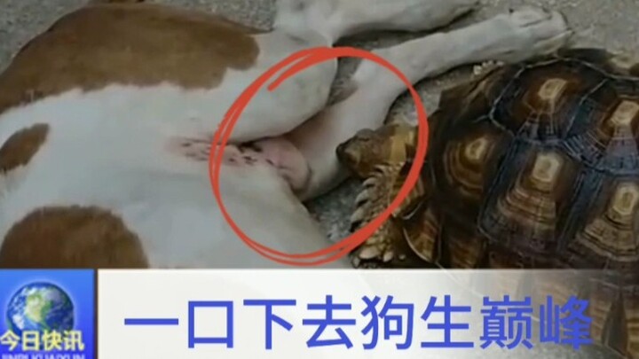 กัดคำเดียว ทำเอามันเหงื่อตกไปทั้งชีวิตเลย