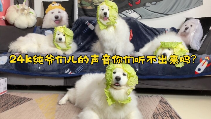 !! I always thought the “Cai Gou” owner was a woman??