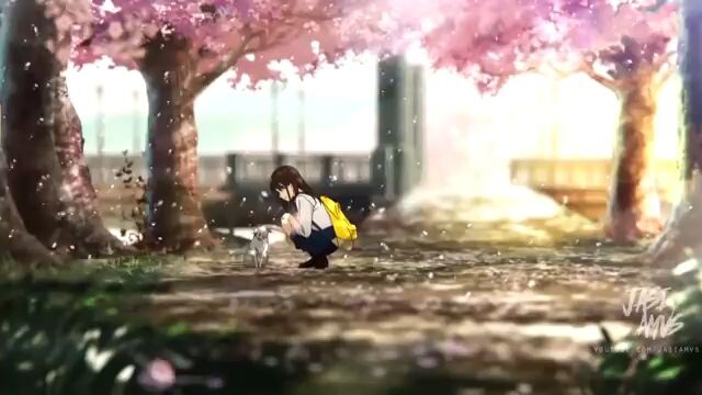 Dream PII