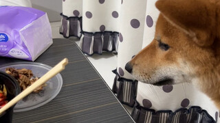 麻，我就是想帮你擦个桌子