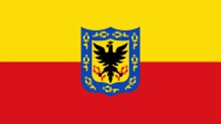 La interpretación diagnóstica de BOGOTÁ