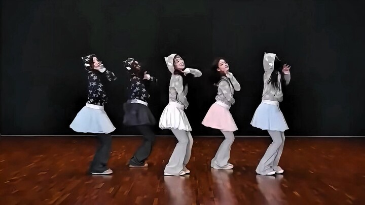 ILLIT Dothedanc - Borrowed Cat Mirror Practice Room