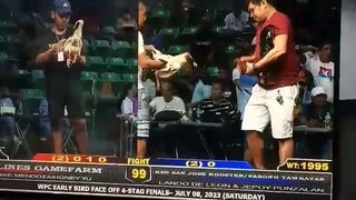 4lines gf Sigoy White vs repapitz jepoy punzalan