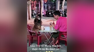 Cười ko nhặt đc mồm vs Nó 😂😂😂chó chó_cưng cun