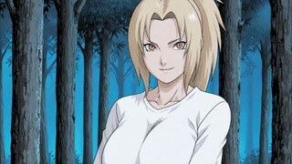 MOMEN TSUNADE PAMER ASET