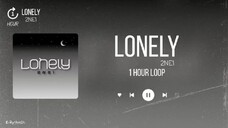💿[1 HOUR LOOP]💿 2NE1 (투애니원) - ''Lonely''