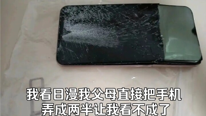 I was watching Japanese anime and my parents broke their phones in half when they heard Japanese