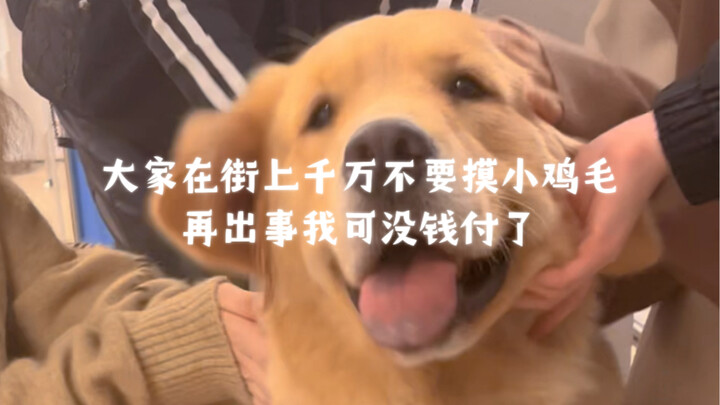 大家在街上千万不要摸小鸡毛再出事我可没钱付了！