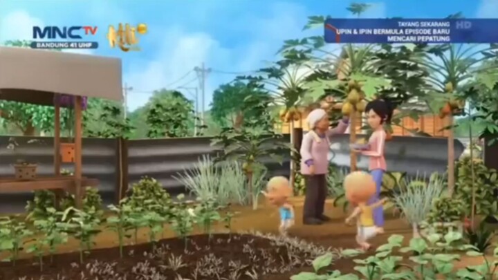 Upin & Ipin Musim 18 Full Movie - Panen Buah Pepaya