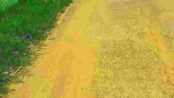 เมื่อจะไปถ่ายVLOGที่โรงเรียนเก่า