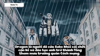 Top 7 Người Có _Ý Chí Của D_ Trong One Piece #24- 9