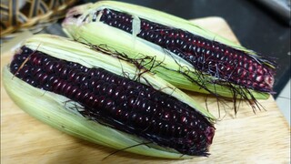 Salad Tuna and Purple Corn