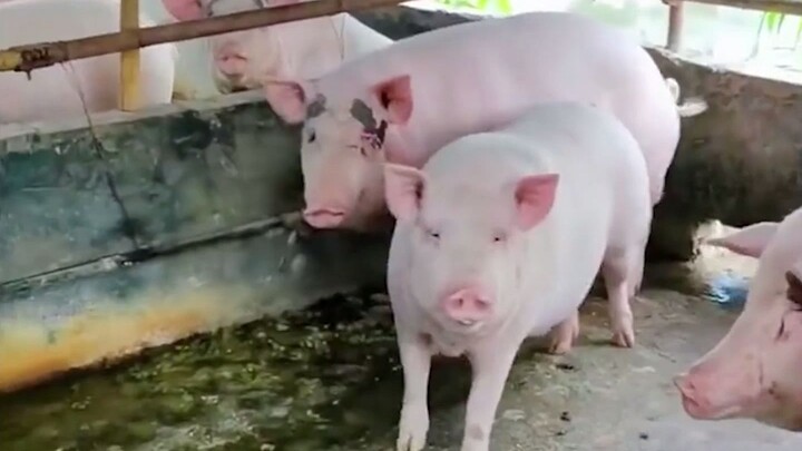 We’re all in this together—can you please tone it down a bit?