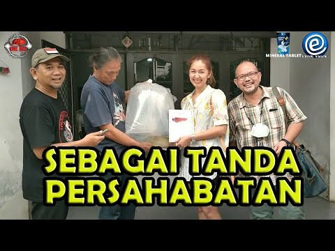 ARWANA SUPER RED SATU SATUNYA DARI SUK ENGPANG YANG BERENANG DI THAILAND