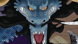 Kenapa Shirohige & Kaido Gagal Awakening?! Ini Alasannya!