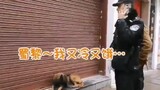 Một con chó hoang bị cảnh sát phát hiện và biến thành chó cảnh sát!