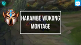 HARAMBE WUKONG MONTAGE  CHALLENGER WUKONG MAIN S12 #lol