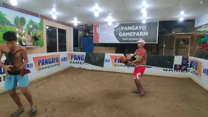 Nakiki spar lang po sa ibang ruweda 😁