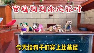天热了，带狗子们在家里开一个泳池派对😂