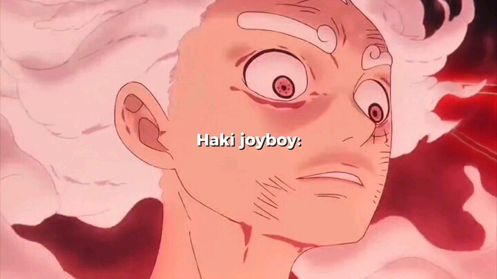 CONQUEROR'S HAKI ADALAH HAKI TERKUAT DI ONE PIECE.