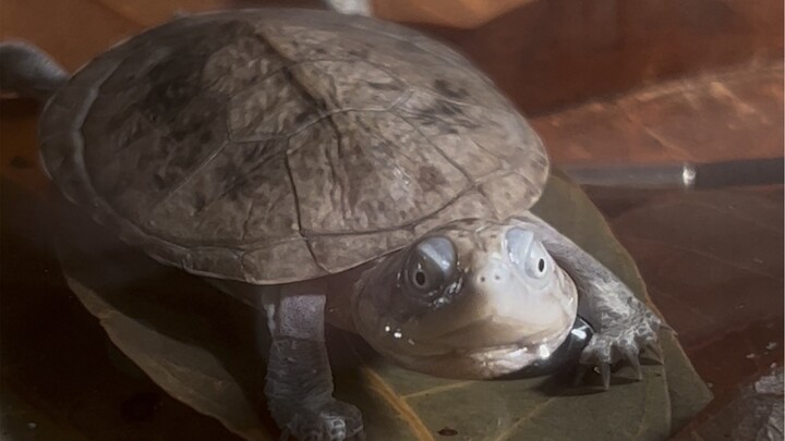 My mouth just got blessed!