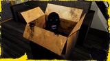 AISHH Đừng mang CÁI HỘP chếc tịch này vào trong nhà !!! (The Box) ✔