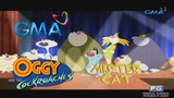 Oggy and the Cockroaches: Mister Cat | GMA 7