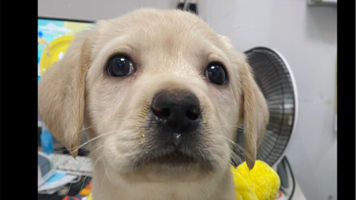 ทำไมหัวถึงแบนขนาดนี้ ฮ่าๆๆ